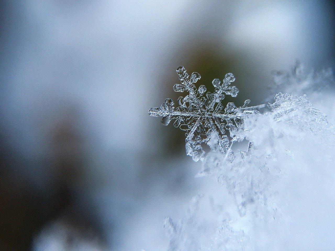 inverno 1